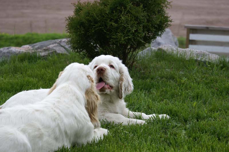 Bono_Flynn_4months_j