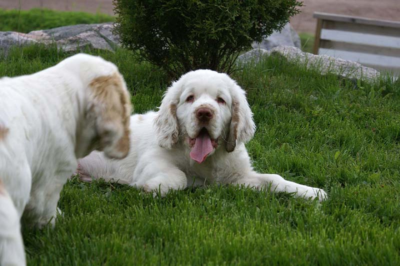 Bono_Flynn_4months_k