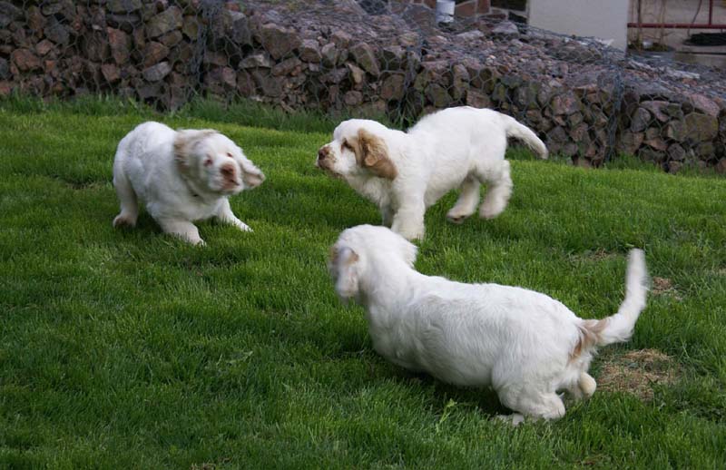 Bono_Flynn_Hilla_4months_a