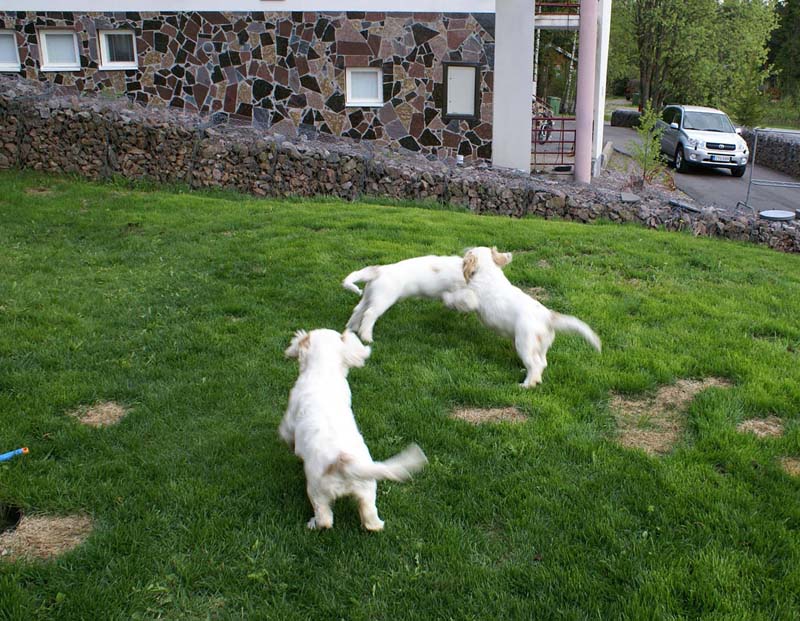 Bono_Flynn_Hilla_4months_c