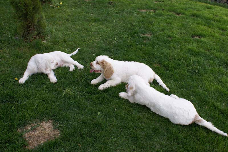 Bono_Flynn_Hilla_4months_f