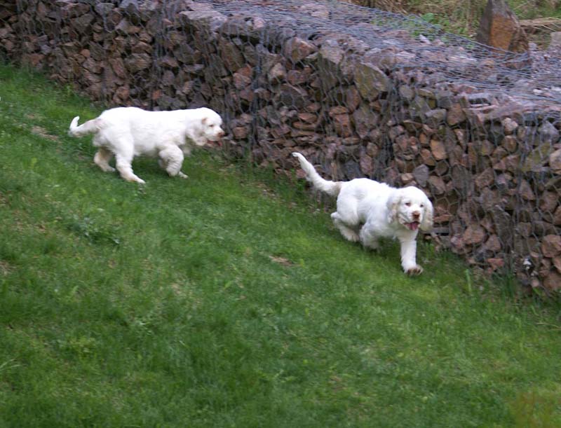 Bono_Hilla_4months_a