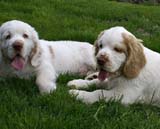 Bono_Flynn_4months_i