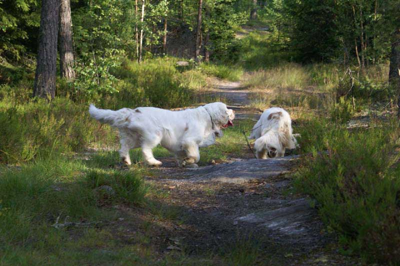 Bono_9July2010_e_Hilla