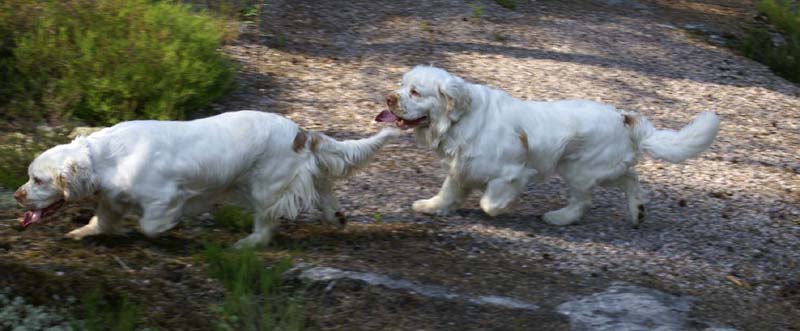 Bono_9July2010_f_Hilla