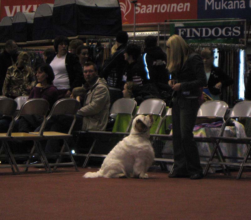 Tampere_Int_21March2010_ST_Let_It_Snow