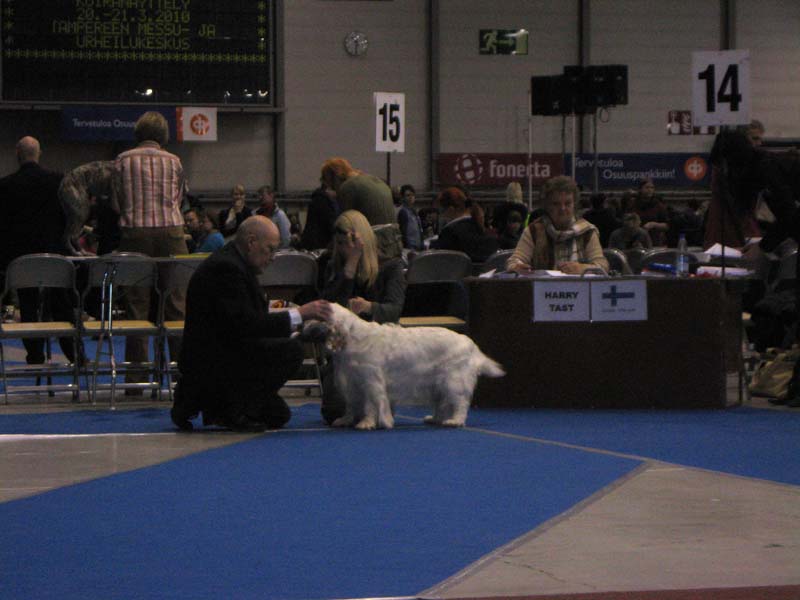 Tampere_Int_21March2010_ST_Let_It_Snow_c