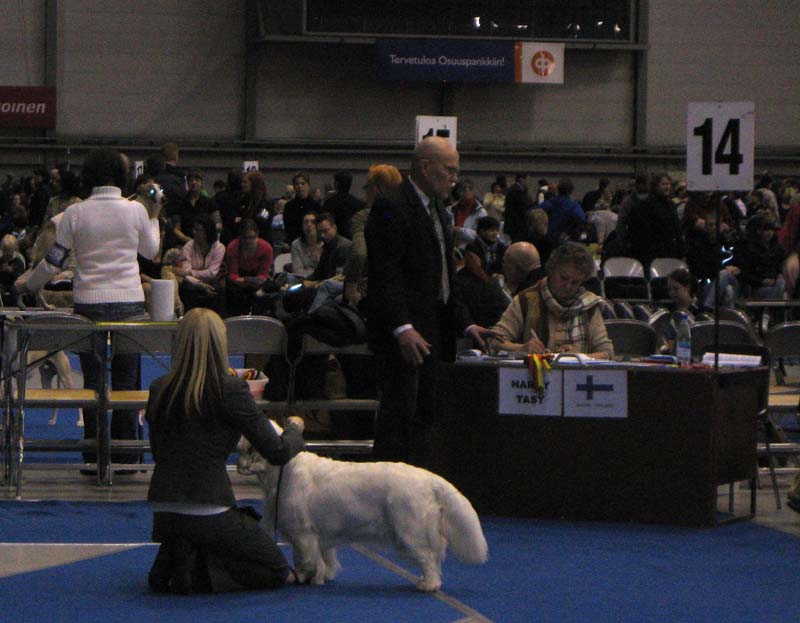 Tampere_Int_21March2010_ST_Snow_Mercy