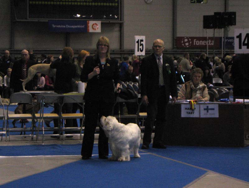 Tampere_Int_21March2010_ST_Yes_or_Snow