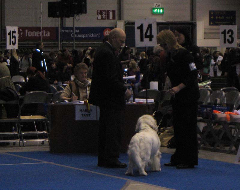 Tampere_Int_21March2010_ST_Yes_or_Snow_d