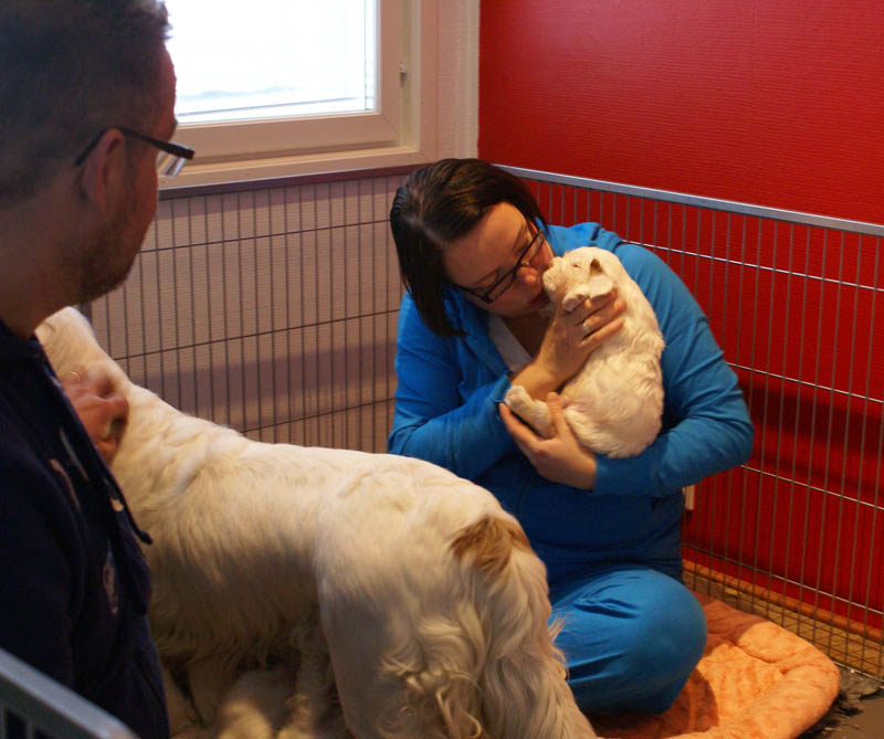 a_Bumbaas_pups_5weeks_g