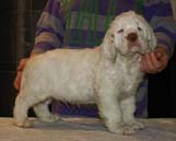 ST_Seglinge_9weeks_h