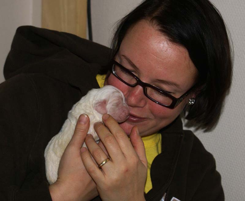 Bumbaa's_litter_1week_old_m