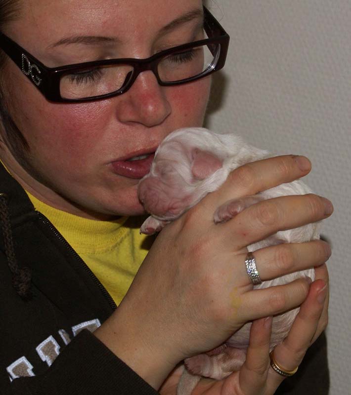 Bumbaa's_litter_1week_old_o