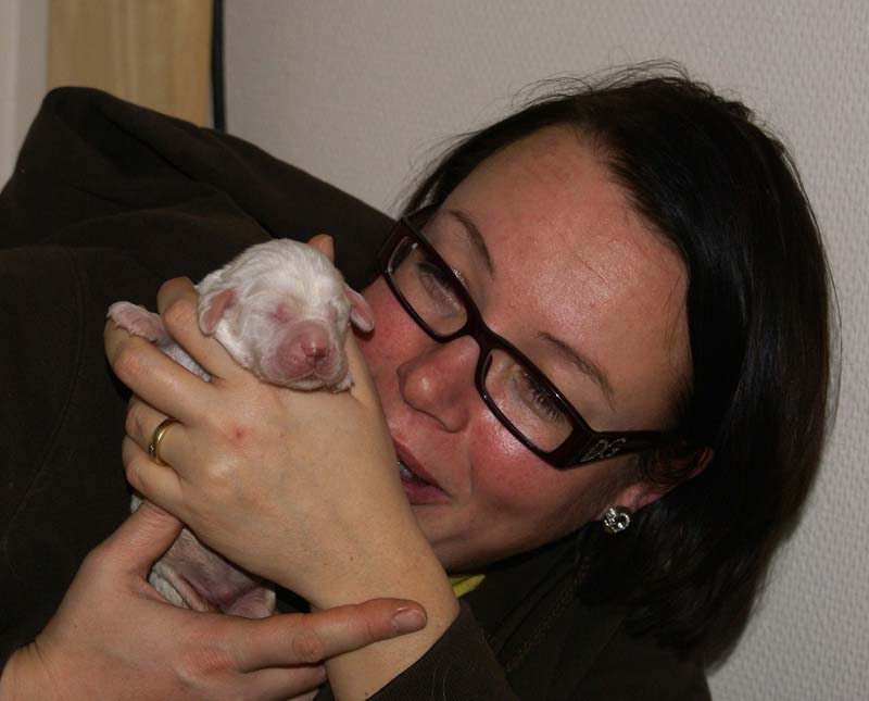 Bumbaa's_litter_1week_old_q