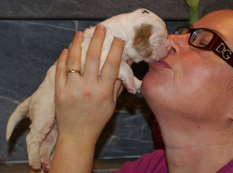 Bumbaa's_litter_2weeks_Boy_Green_g