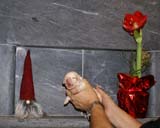 Bumbaa's_litter_2weeks_Boy_Pink_a