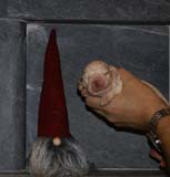 Bumbaa's_litter_2weeks_Boy_Pink_b