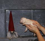 Bumbaa's_litter_2weeks_Boy_Yellow_c