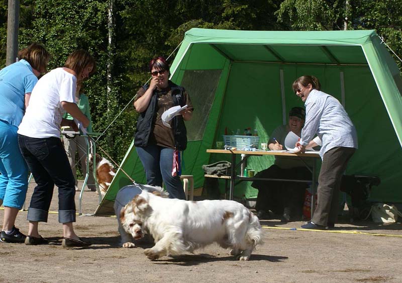 Bumbaa_15months_Raahe_Rocky22months_c