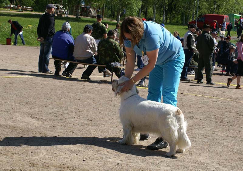 Bumbaa_15months_Raahe_a