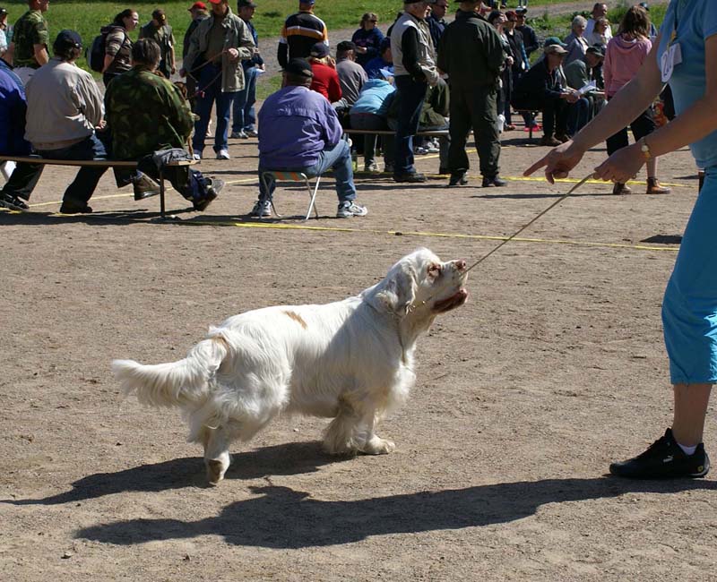 Bumbaa_15months_Raahe_d