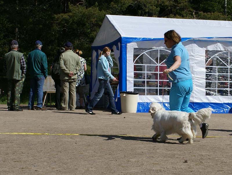 Bumbaa_15months_Raahe_f