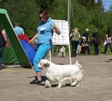 Bumbaa_15months_Raahe_b