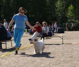 Bumbaa_15months_Raahe_c