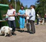 Bumbaa_15months_Raahe_g