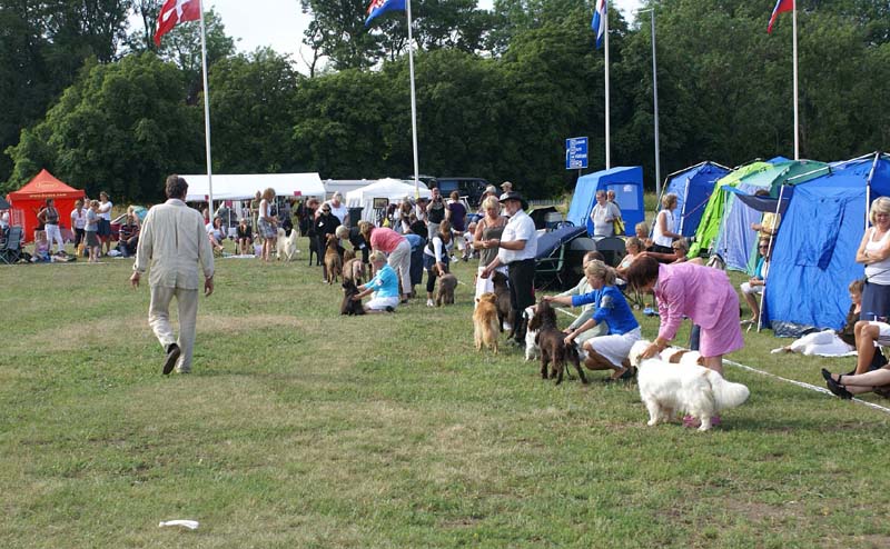 Bumbaa_Visby_4July2009_b