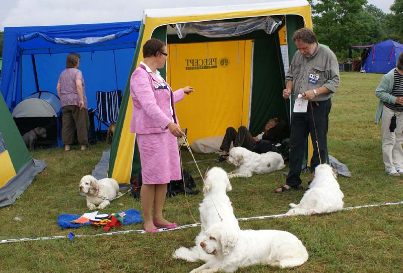 Bumbaa_Visby_4July2009_c