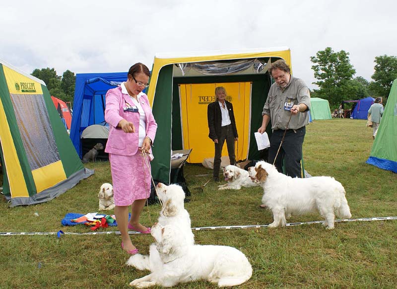 Bumbaa_Visby_4July2009_d