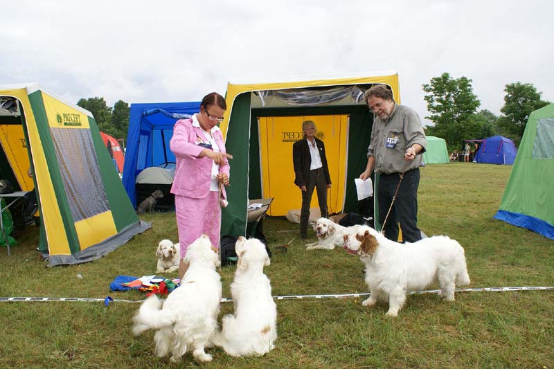 Bumbaa_Visby_4July2009_e