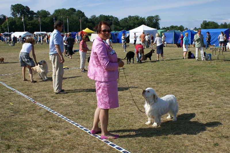 Bumbaa_Visby_4July2009_f