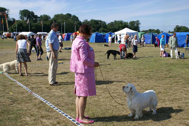 Bumbaa_Visby_4July2009_g