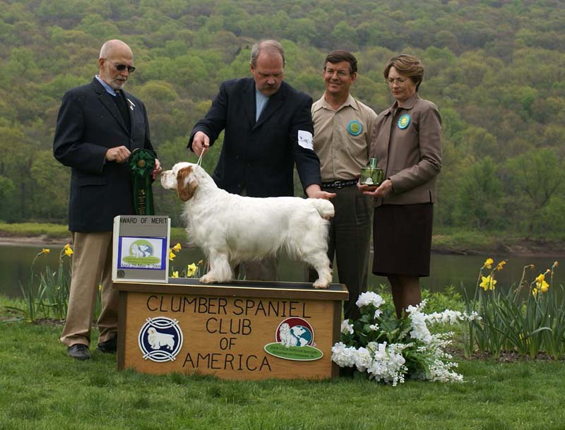 AOM_Nexus_Blind_Faith