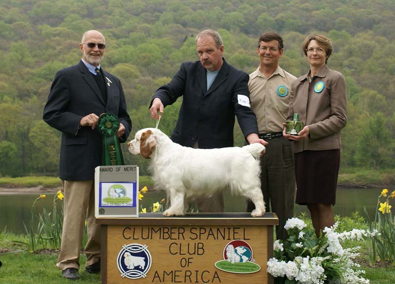 AOM_Nexus_Blind_Faith_c