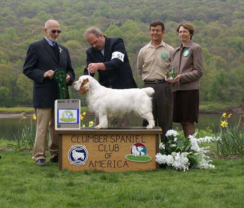 AOM_Nexus_Blind_Faith_e