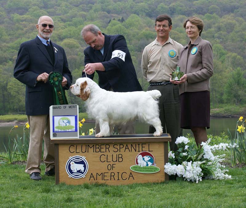 AOM_Nexus_Blind_Faith_f