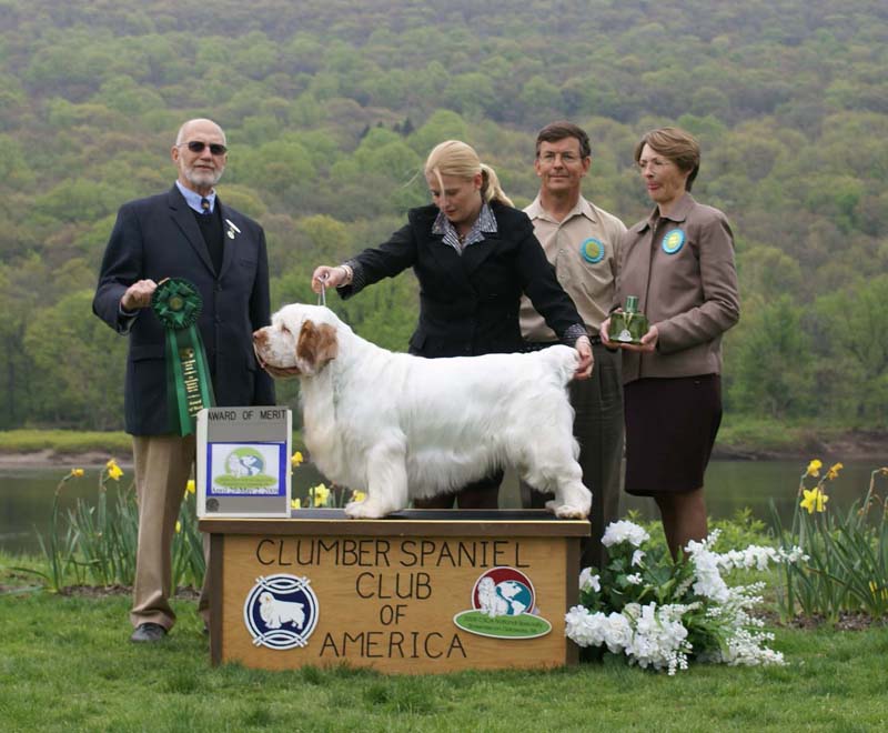 AOM_Nexus_Great_Gatsby