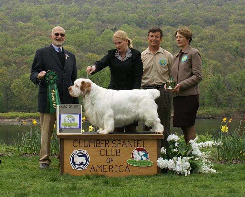 AOM_Nexus_Great_Gatsby_b