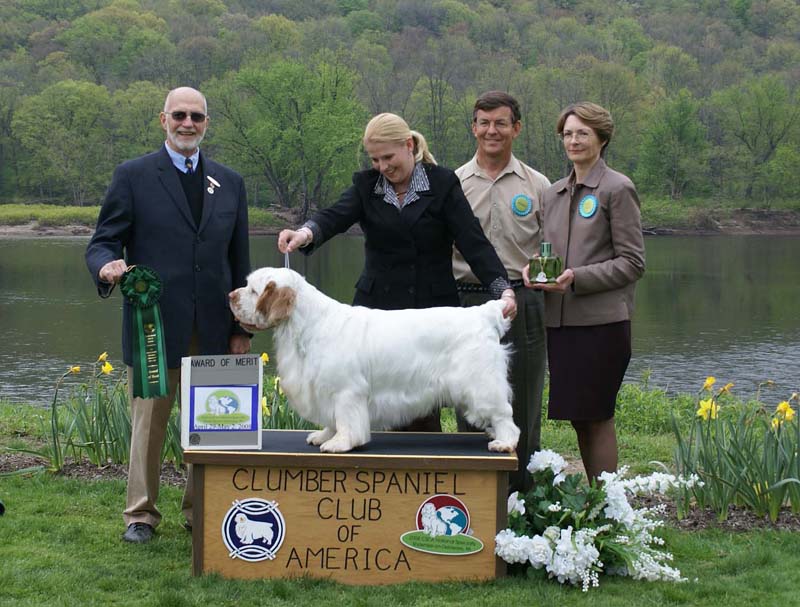 AOM_Nexus_Great_Gatsby_c