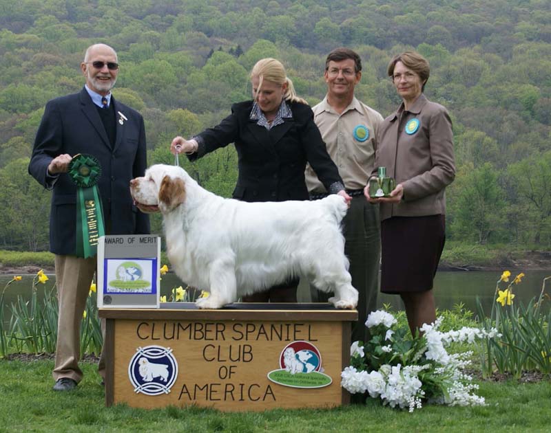 AOM_Nexus_Great_Gatsby_d