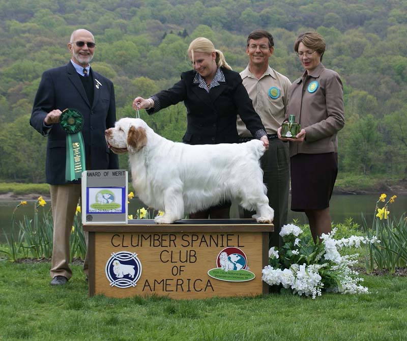 AOM_Nexus_Great_Gatsby_e