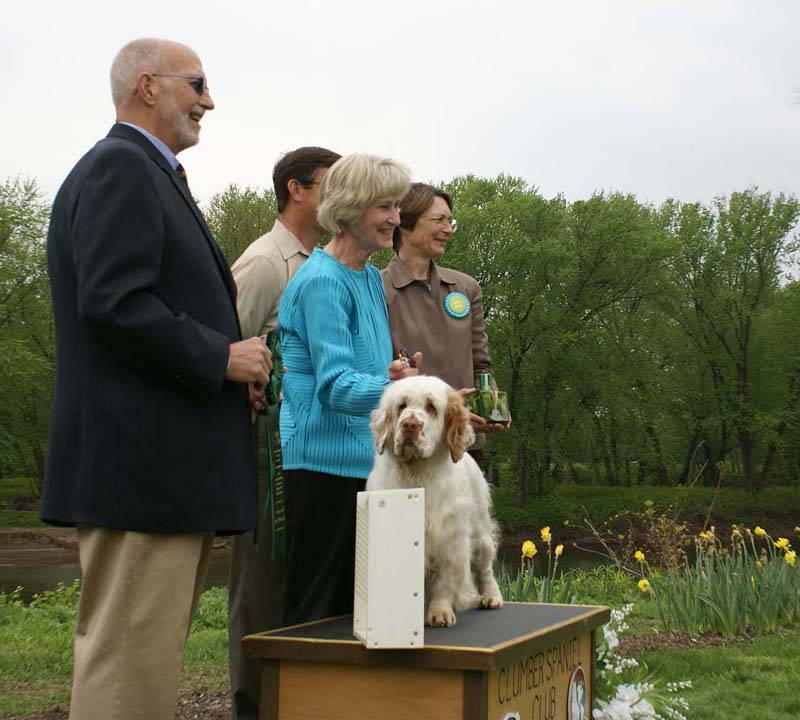 AOM_Shoguns_Angelina_Ballerina