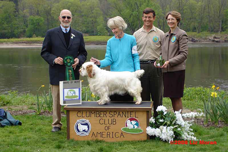 AOM_Shoguns_Angelina_Ballerina_b