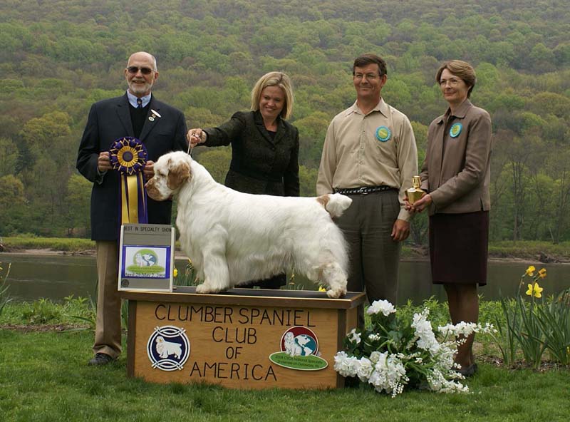 BIS_Monarch_StandnDeliver_Invergrdn_c