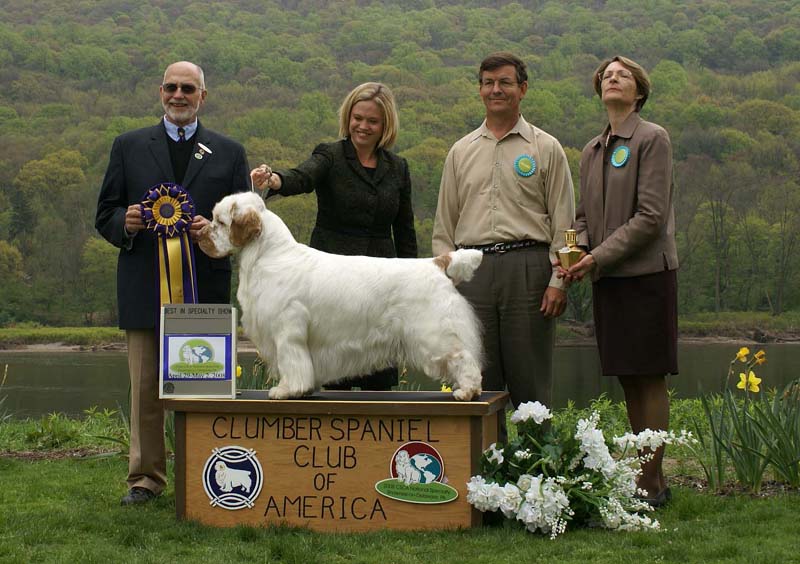 BIS_Monarch_StandnDeliver_Invergrdn_f