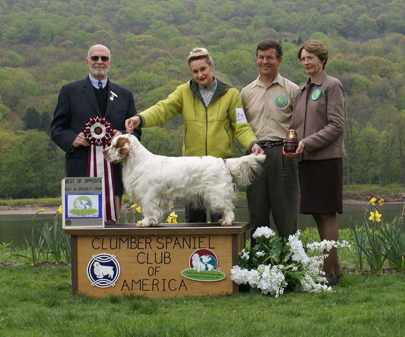 BOS_Shoguns_Funky_Diva